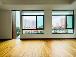 Cayman Residences (D15), Terrace #529520241